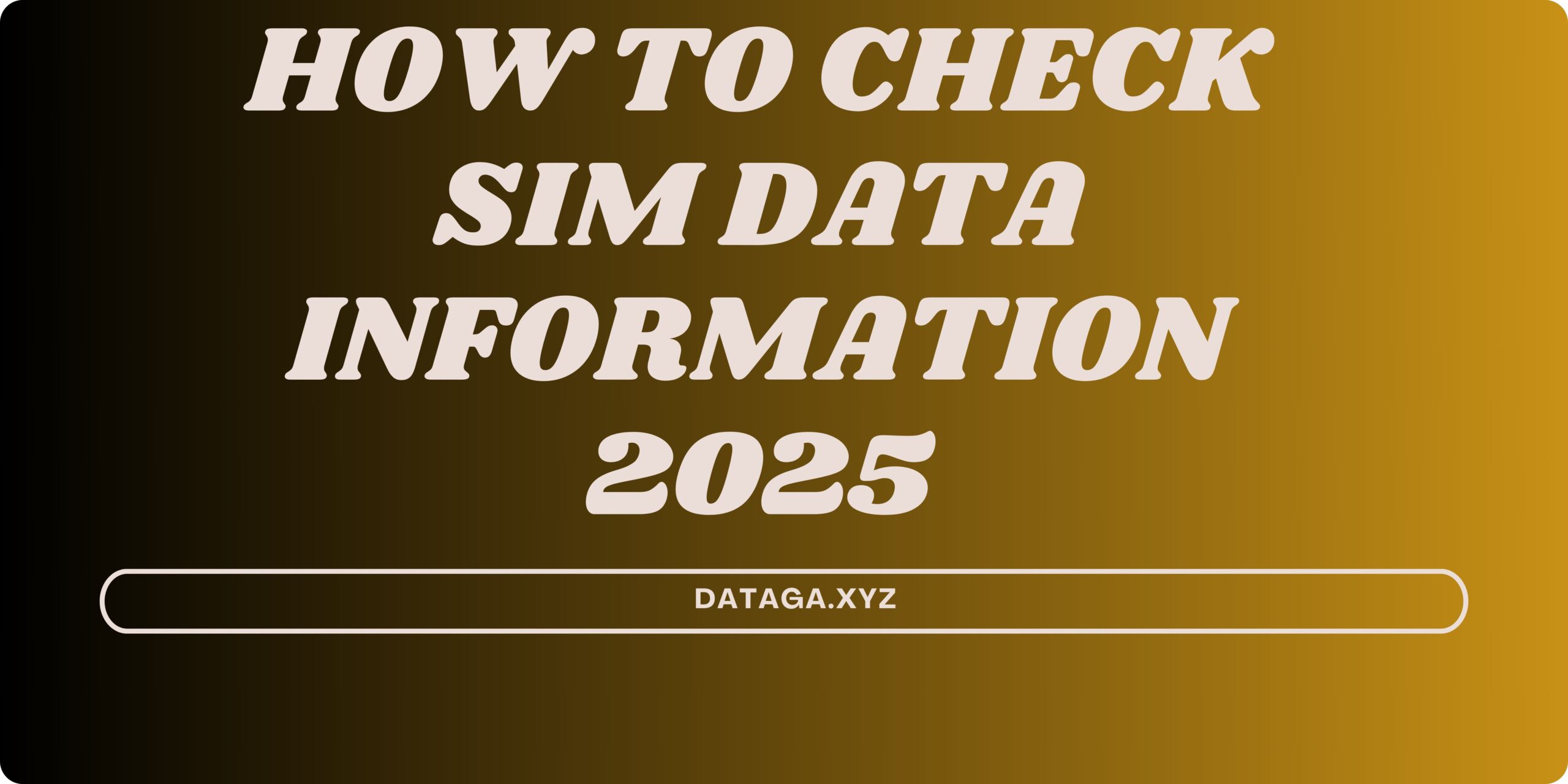 SIM Data Information